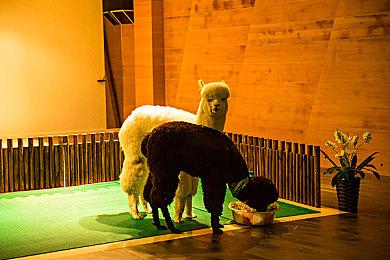 《Swords & Slippers》新视频 白雪公主拿大斧砍人